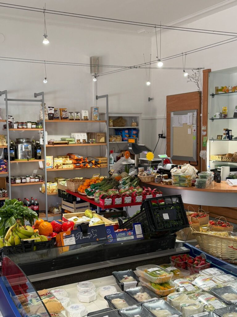 PHOTO-2026-04-16-11-18-25 7